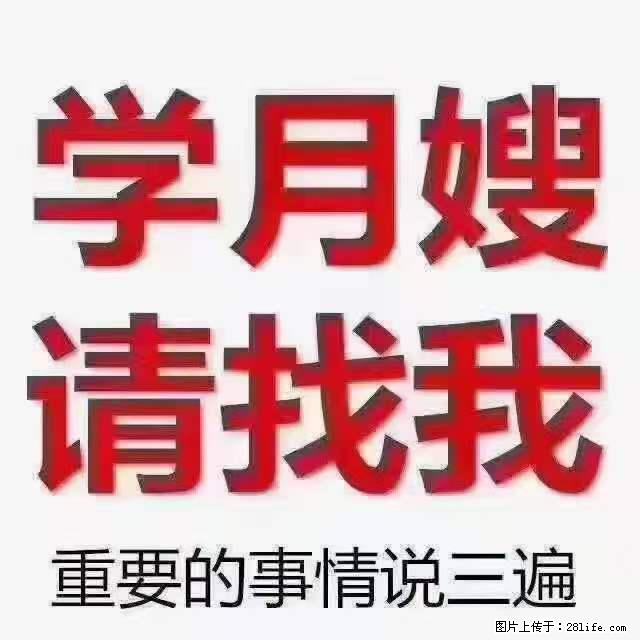 为什么要学习月嫂,育婴师? - 其他广告 - 广告专区 - 临沧分类信息 - 临沧28生活网 lincang.28life.com
