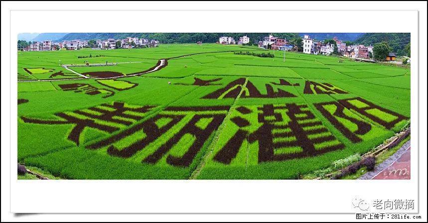 【春天,广西桂林灌阳县向您发出邀请!】开篇 - 游山玩水 - 临沧生活社区 - 临沧28生活网 lincang.28life.com