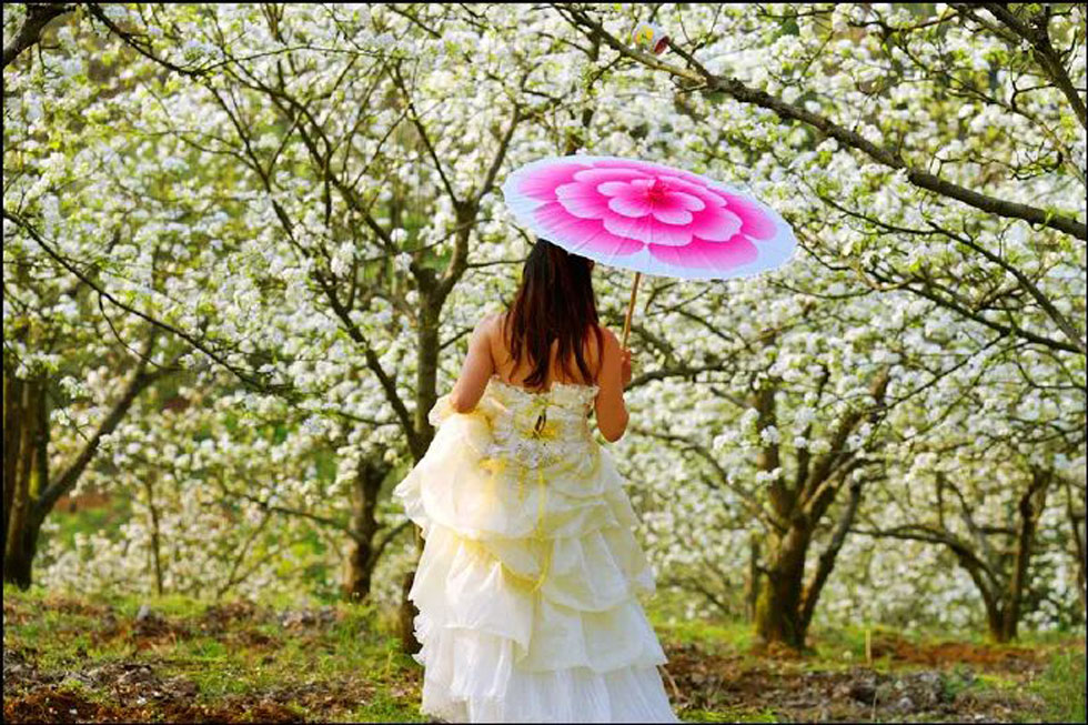 【春天,广西桂林灌阳县向您发出邀请!】我们在灌阳看梨花 - 游山玩水 - 临沧生活社区 - 临沧28生活网 lincang.28life.com