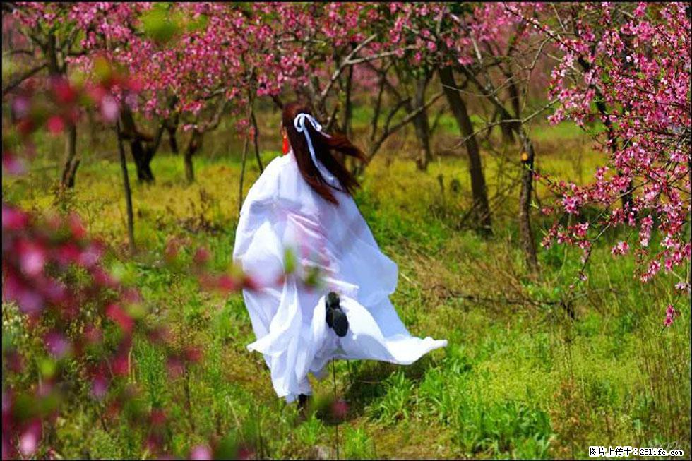 【春天,广西桂林灌阳县向您发出邀请!】官庄村有个醉美的桃花园 - 游山玩水 - 临沧生活社区 - 临沧28生活网 lincang.28life.com