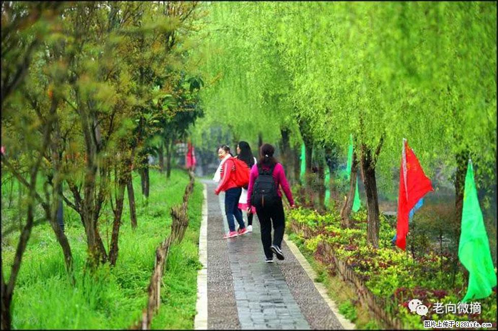 【春天,广西桂林灌阳县向您发出邀请!】江口老街又逢春 - 游山玩水 - 临沧生活社区 - 临沧28生活网 lincang.28life.com