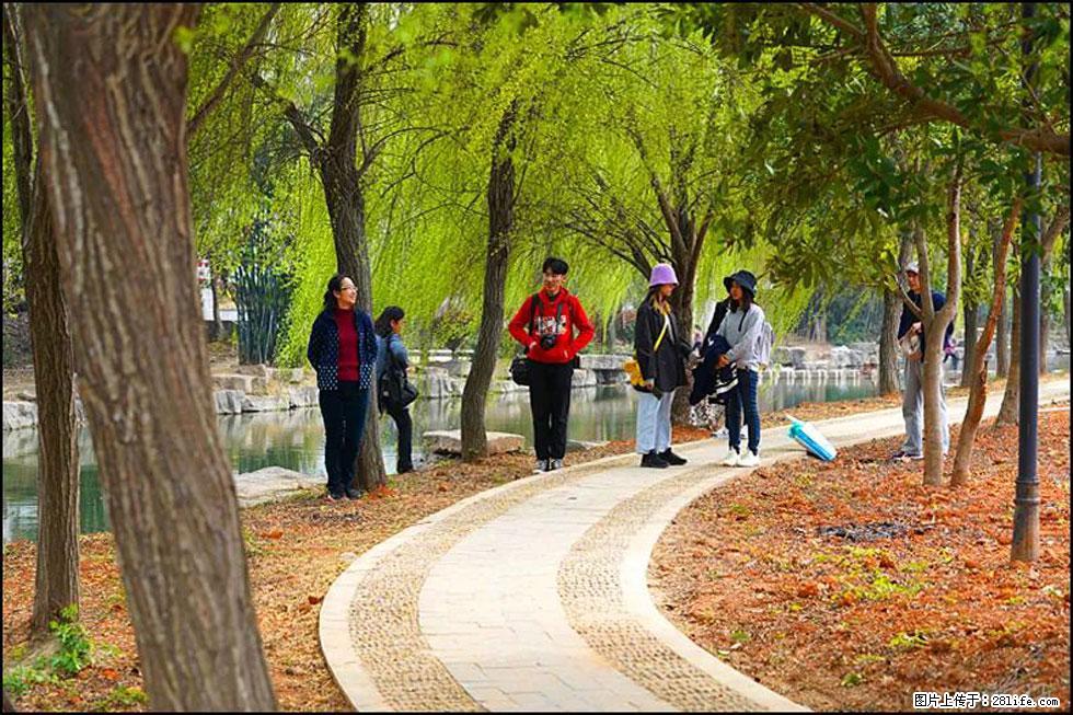 【春天,广西桂林灌阳县向您发出邀请!】江口老街又逢春 - 游山玩水 - 临沧生活社区 - 临沧28生活网 lincang.28life.com