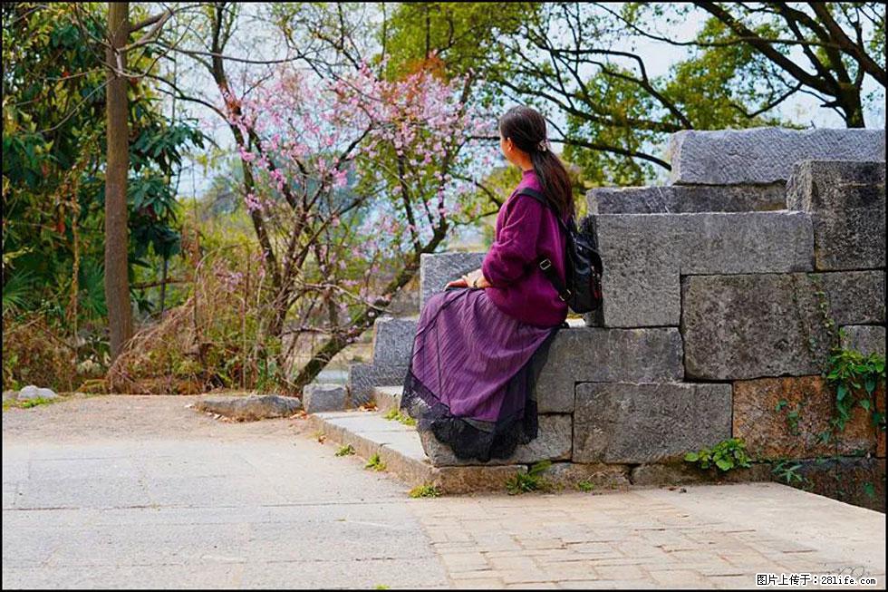 【春天,广西桂林灌阳县向您发出邀请!】江口老街又逢春 - 游山玩水 - 临沧生活社区 - 临沧28生活网 lincang.28life.com