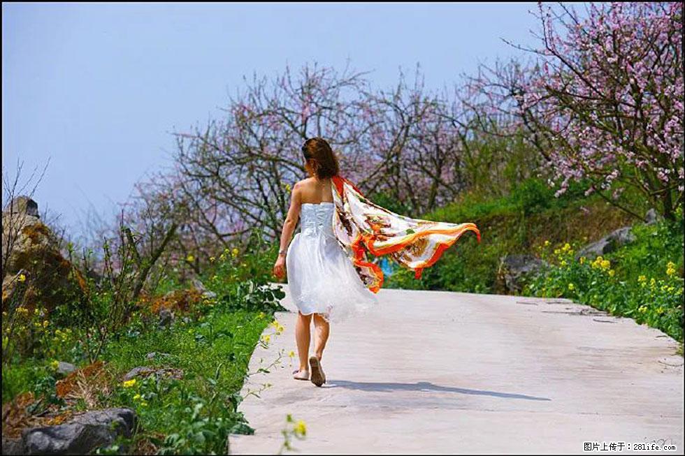 【春天,广西桂林灌阳县向您发出邀请!】望月岭上桃花开 - 游山玩水 - 临沧生活社区 - 临沧28生活网 lincang.28life.com