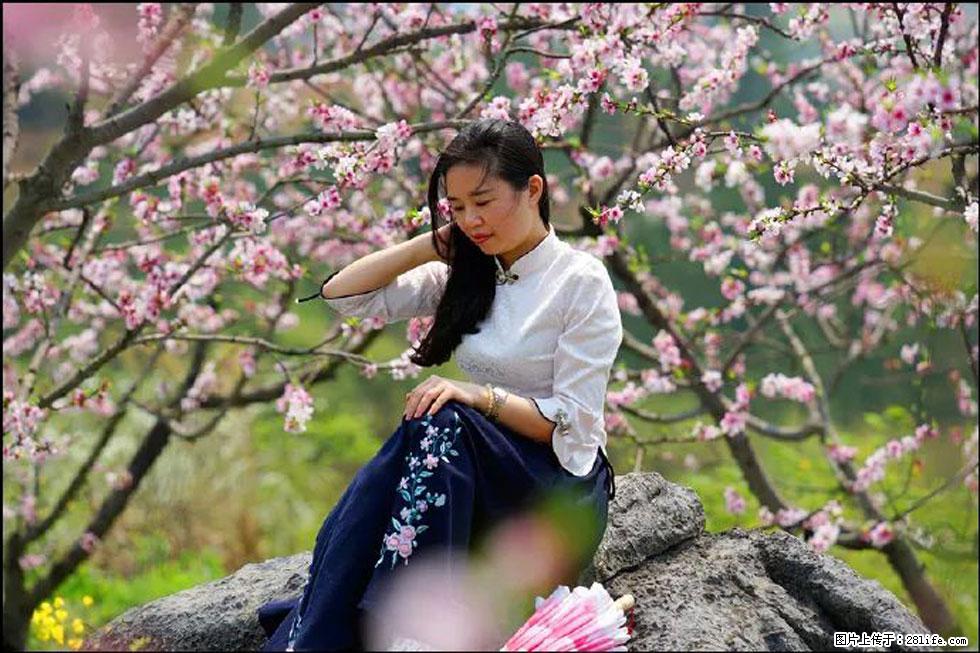 【春天,广西桂林灌阳县向您发出邀请!】望月岭上桃花开 - 游山玩水 - 临沧生活社区 - 临沧28生活网 lincang.28life.com