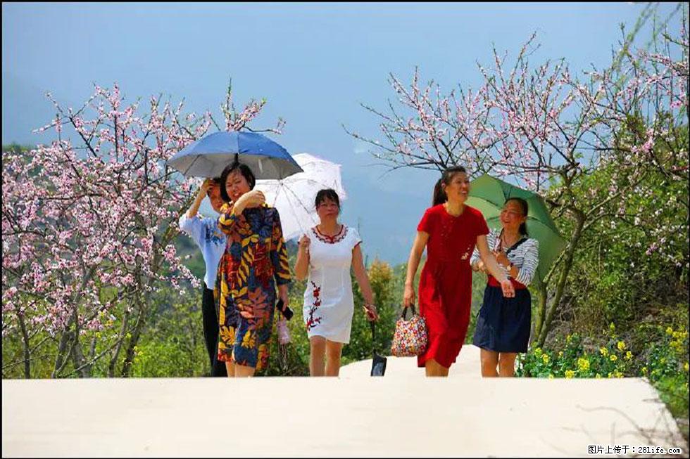 【春天,广西桂林灌阳县向您发出邀请!】望月岭上桃花开 - 游山玩水 - 临沧生活社区 - 临沧28生活网 lincang.28life.com