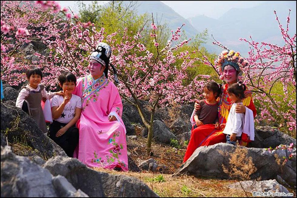 【春天,广西桂林灌阳县向您发出邀请!】望月岭上桃花开 - 游山玩水 - 临沧生活社区 - 临沧28生活网 lincang.28life.com