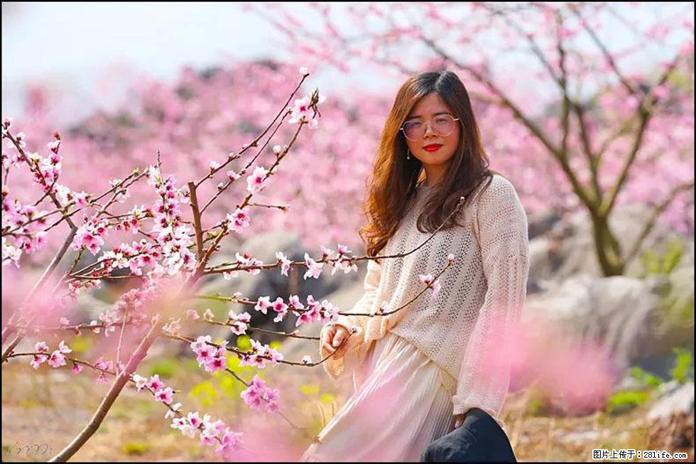 【春天,广西桂林灌阳县向您发出邀请!】望月岭上桃花开 - 游山玩水 - 临沧生活社区 - 临沧28生活网 lincang.28life.com