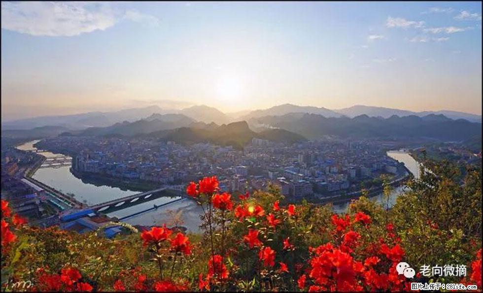 【春天,广西桂林灌阳县向您发出邀请!】登麒麟山,相约映山红 - 游山玩水 - 临沧生活社区 - 临沧28生活网 lincang.28life.com
