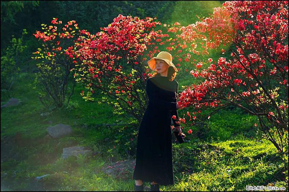 【春天,广西桂林灌阳县向您发出邀请!】春木界上映山红 - 游山玩水 - 临沧生活社区 - 临沧28生活网 lincang.28life.com