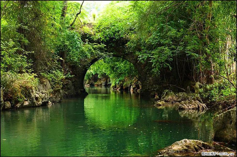 【春天,广西桂林灌阳县向您发出邀请!】如梦似幻莲溪庐 - 游山玩水 - 临沧生活社区 - 临沧28生活网 lincang.28life.com