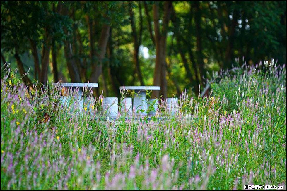 【春天,广西桂林灌阳县向您发出邀请!】熊家寨湿地公园 - 游山玩水 - 临沧生活社区 - 临沧28生活网 lincang.28life.com