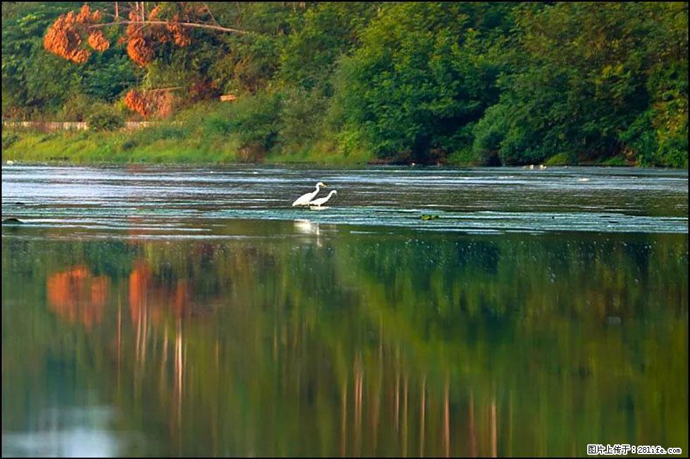 【春天,广西桂林灌阳县向您发出邀请!】熊家寨湿地公园 - 游山玩水 - 临沧生活社区 - 临沧28生活网 lincang.28life.com