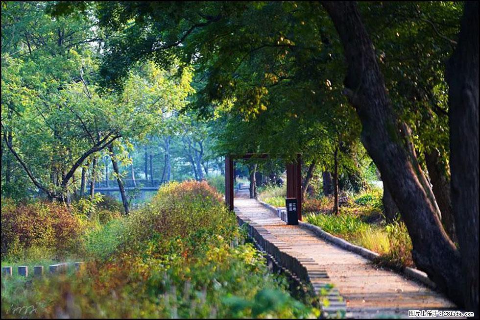 【春天,广西桂林灌阳县向您发出邀请!】熊家寨湿地公园 - 游山玩水 - 临沧生活社区 - 临沧28生活网 lincang.28life.com