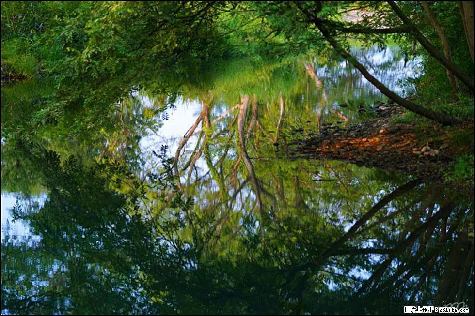 【春天,广西桂林灌阳县向您发出邀请!】熊家寨湿地公园 - 游山玩水 - 临沧生活社区 - 临沧28生活网 lincang.28life.com