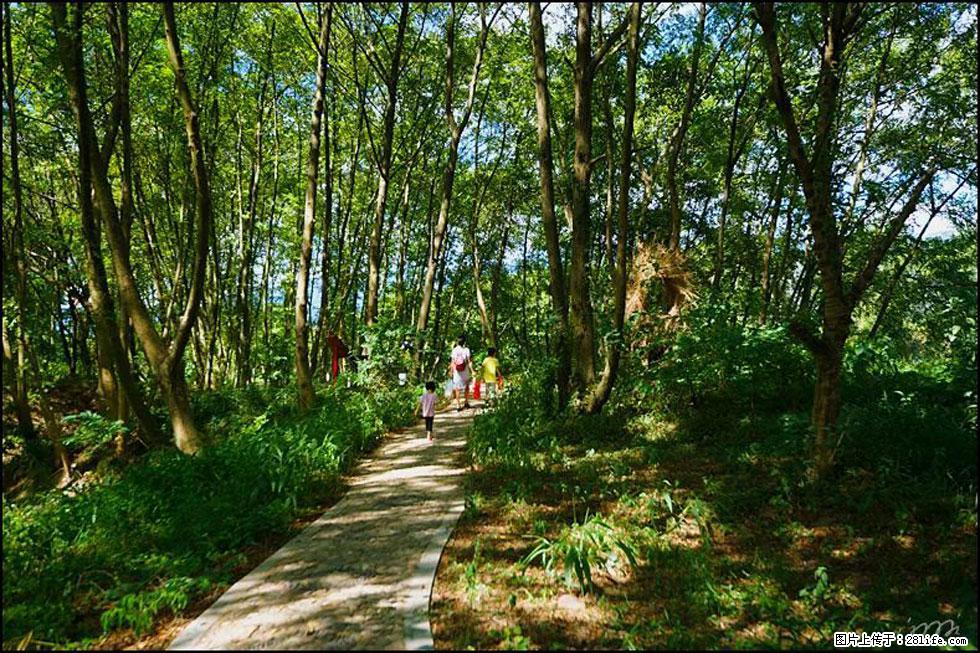 【春天,广西桂林灌阳县向您发出邀请!】熊家寨湿地公园 - 游山玩水 - 临沧生活社区 - 临沧28生活网 lincang.28life.com