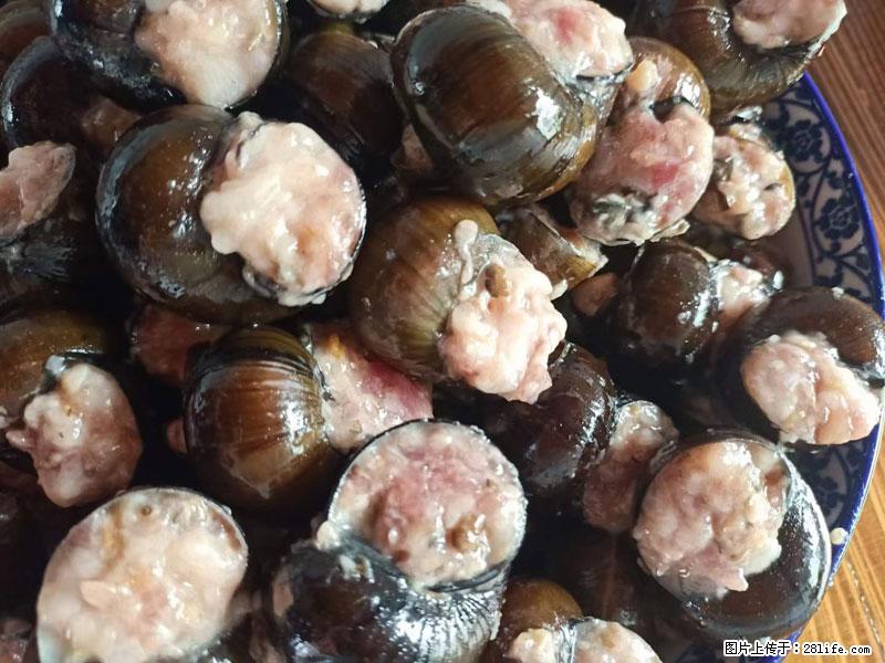 (舌尖上的乡村)灌阳:让人口齿留香的田螺酿 - 2023年07月31日 桂林日报第6版刊发 - 美食天地 - 临沧生活社区 - 临沧28生活网 lincang.28life.com