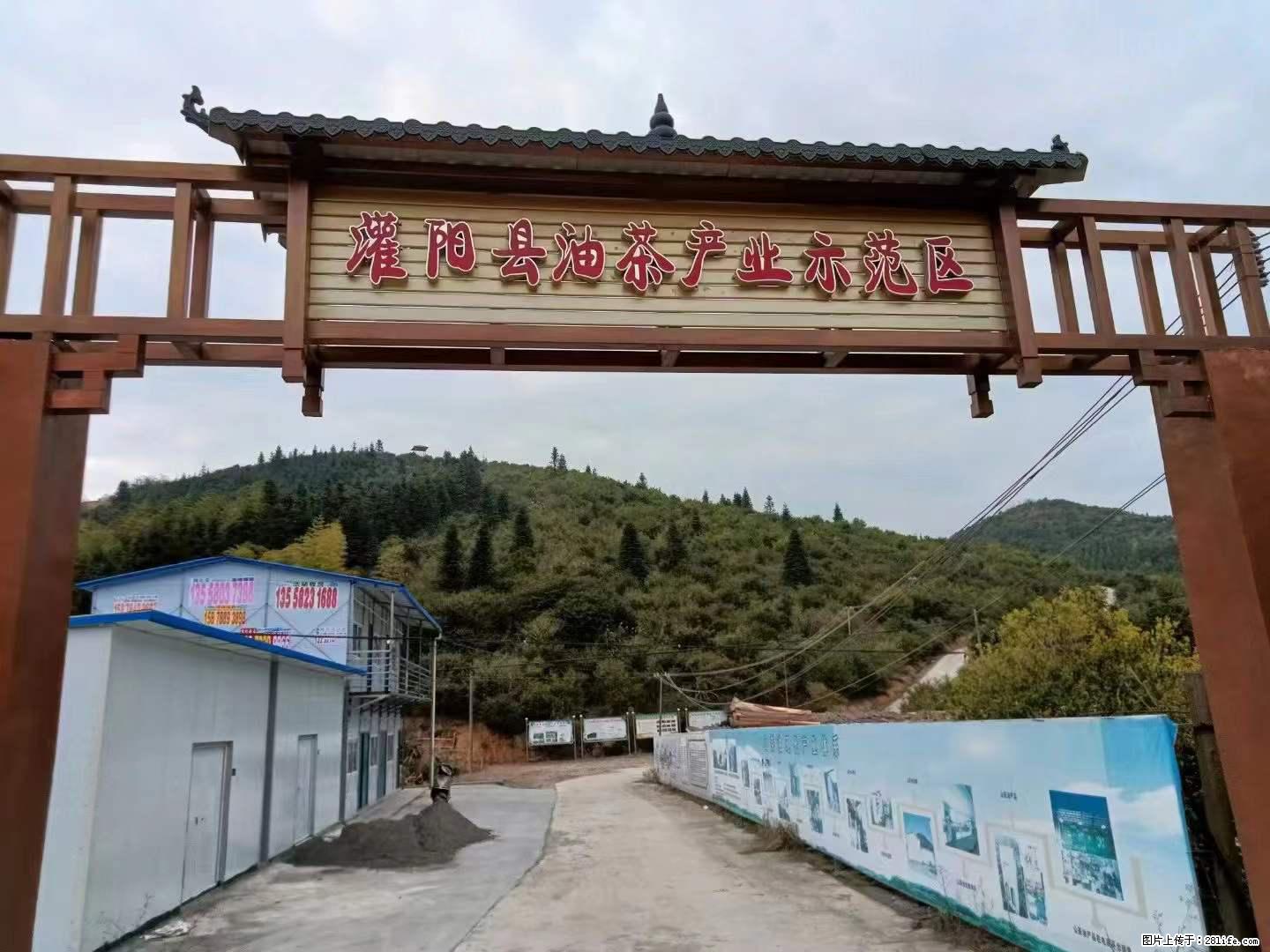 【灌阳县油茶产业示范区】一个有着充实的精神生活的人,对待身外之物自会有一种淡泊的态度 - 土特产 - 饮食特产 - 临沧分类信息 - 临沧28生活网 lincang.28life.com