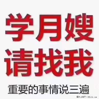 为什么要学习月嫂，育婴师？ - 临沧28生活网 lincang.28life.com