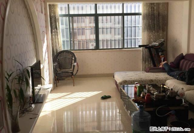 百树广场带全套家具家电 - 房屋出租 - 房屋租售 - 临沧分类信息 - 临沧28生活网 lincang.28life.com