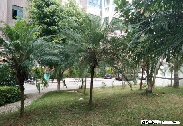 财富中心车库改房单身公寓750一月年付 - 房屋出租 - 房屋租售 - 临沧分类信息 - 临沧28生活网 lincang.28life.com