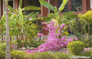 百树广场两居室带家具家电出租1300元每月 - 临沧28生活网 lincang.28life.com