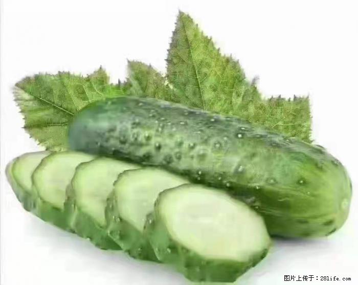 【生活小常识】吃黄瓜的好处 - 生活百科 - 临沧生活社区 - 临沧28生活网 lincang.28life.com