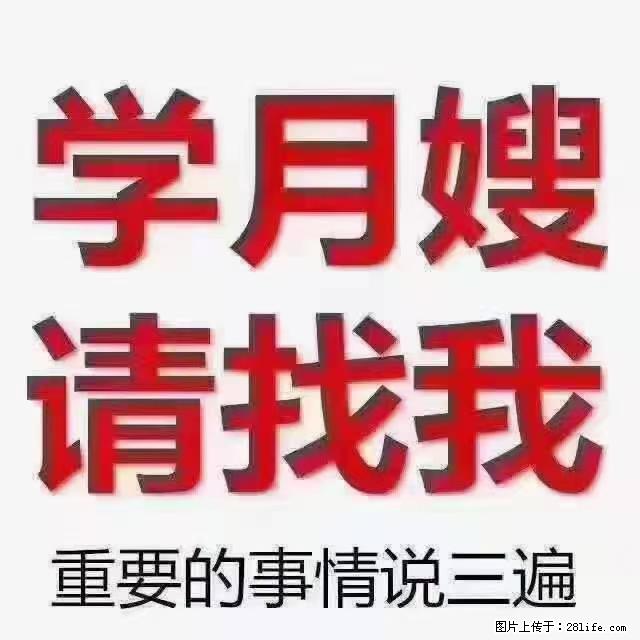 【招聘】月嫂,上海徐汇区 - 职场交流 - 临沧生活社区 - 临沧28生活网 lincang.28life.com