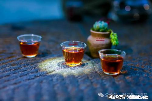 时间果百年古树2025年春红茶 - 购物交流 - 临沧生活社区 - 临沧28生活网 lincang.28life.com