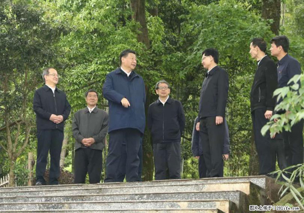 习近平赴广西考察调研 - 临沧生活资讯 - 临沧28生活网 lincang.28life.com
