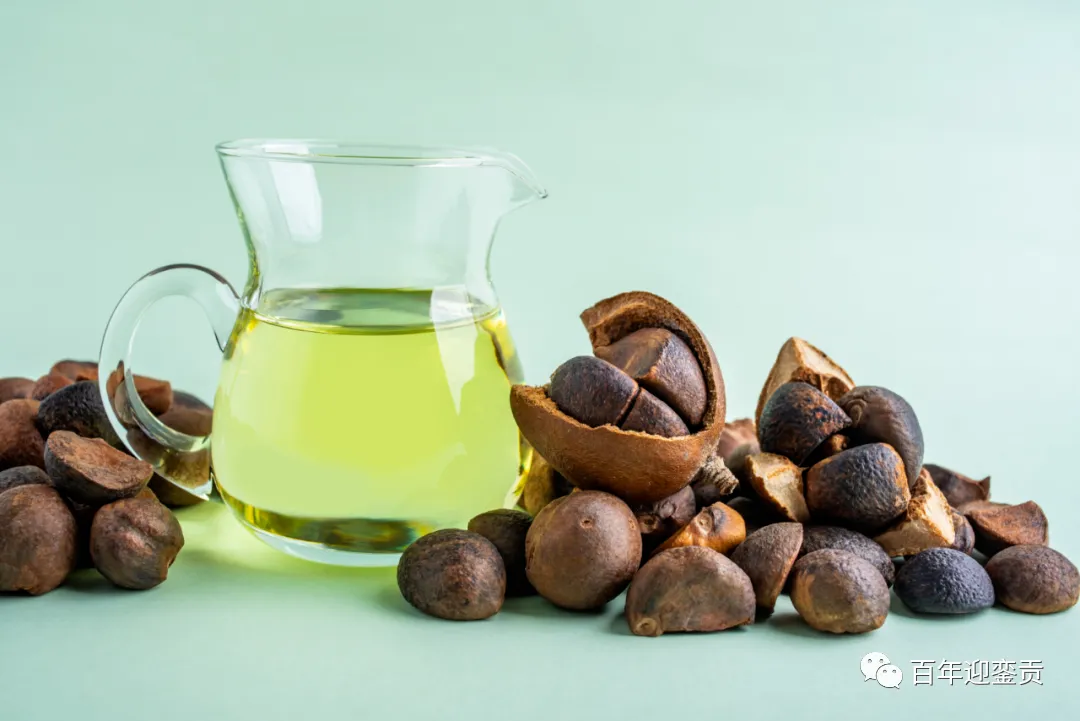世界没有真相,只有认知,最好的食用油是中国的山茶油! - 临沧生活资讯 - 临沧28生活网 lincang.28life.com