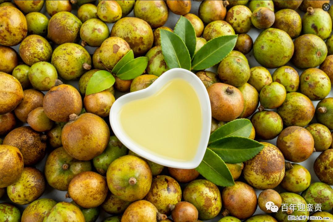 世界没有真相,只有认知,最好的食用油是中国的山茶油! - 临沧生活资讯 - 临沧28生活网 lincang.28life.com