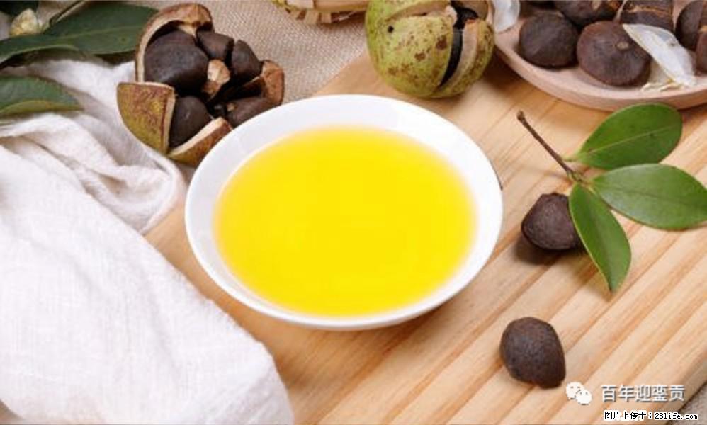 世界没有真相,只有认知,最好的食用油是中国的山茶油! - 临沧生活资讯 - 临沧28生活网 lincang.28life.com