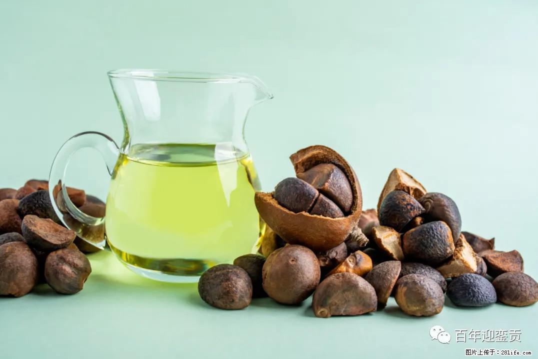 世界没有真相，只有认知，最好的食用油是中国的山茶油！ - 临沧生活资讯 - 临沧28生活网 lincang.28life.com