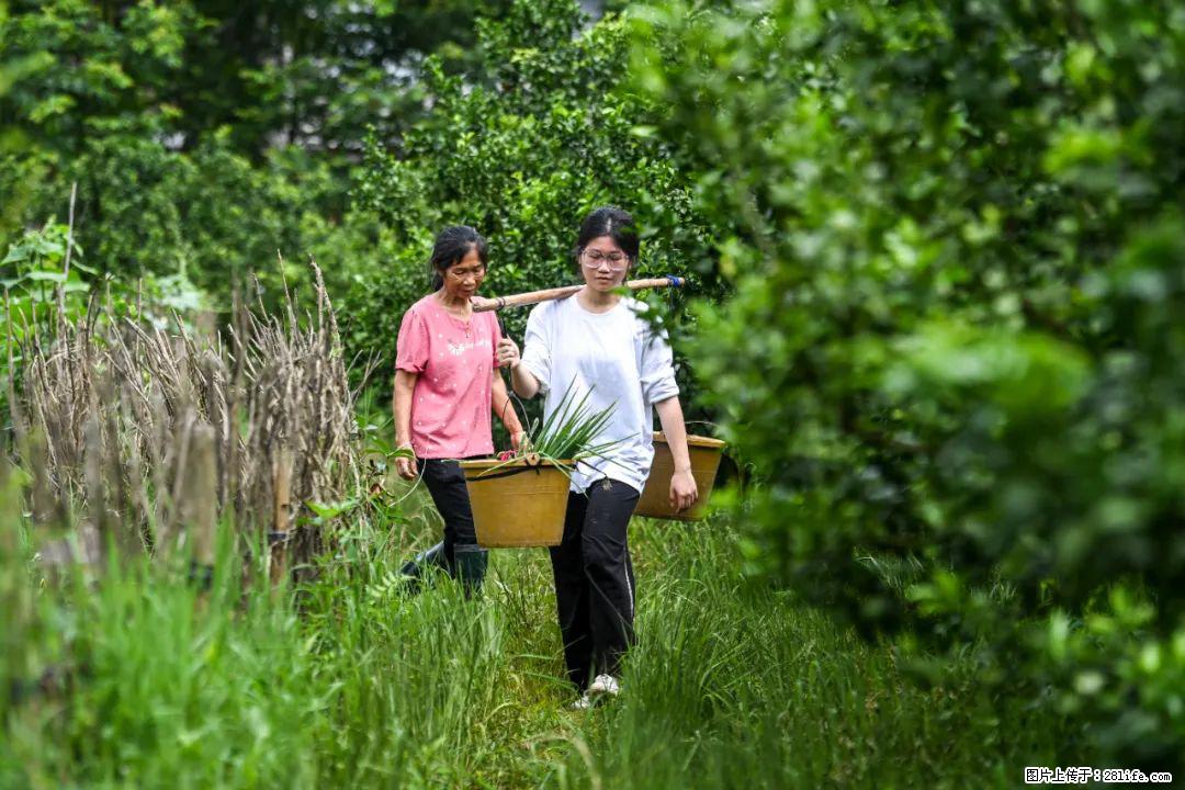 全网追的“扁担女孩”,找了一份暑假工,时薪12元 - 临沧生活资讯 - 临沧28生活网 lincang.28life.com