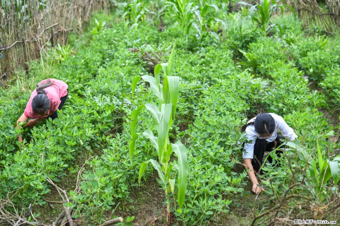 全网追的“扁担女孩”,找了一份暑假工,时薪12元 - 临沧生活资讯 - 临沧28生活网 lincang.28life.com