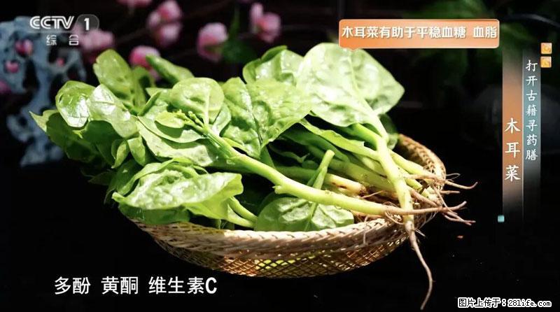 比牛奶补钙还厉害!凉血解毒、稳血糖...这菜冬天必吃,很多人却当草 - 临沧生活资讯 - 临沧28生活网 lincang.28life.com