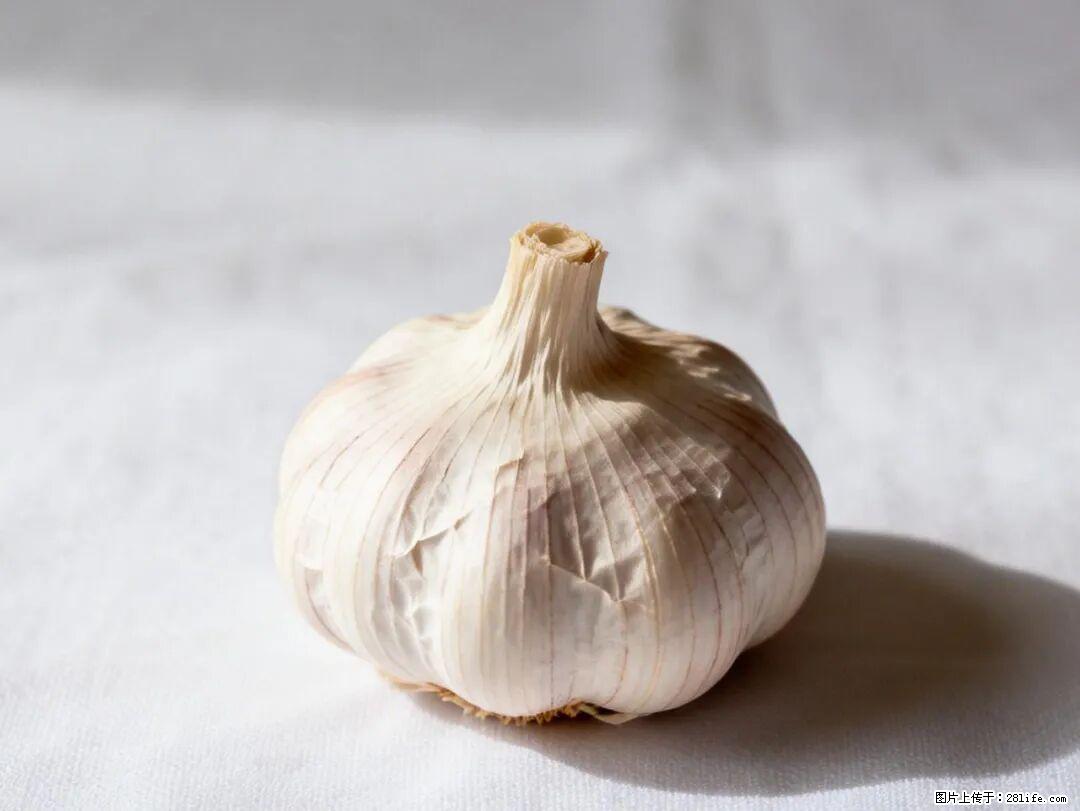 关于大蒜，除了“天然抗生素”，这4个谣言更该警惕! - 临沧生活资讯 - 临沧28生活网 lincang.28life.com