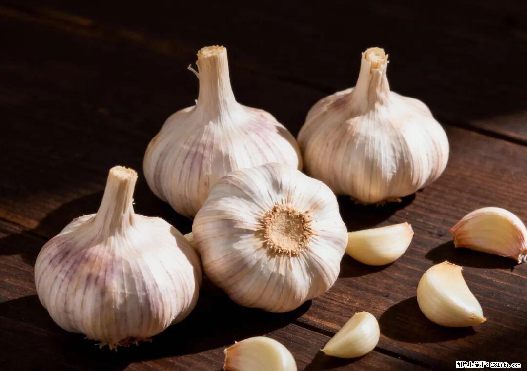 关于大蒜，除了“天然抗生素”，这4个谣言更该警惕! - 临沧生活资讯 - 临沧28生活网 lincang.28life.com