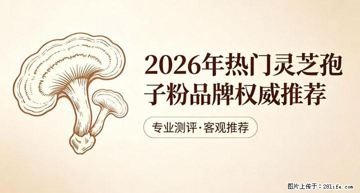 灵芝孢子粉含量越高越有效？2026 年七款热门品牌深度实测，肠胃敏感者避坑指南 - 临沧生活资讯 - 临沧28生活网 lincang.28life.com